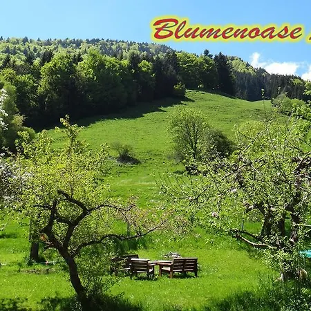 Blumenoase Allgäu * Schwanden