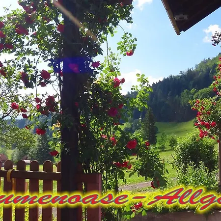 Blumenoase Allgaeu * Schwanden