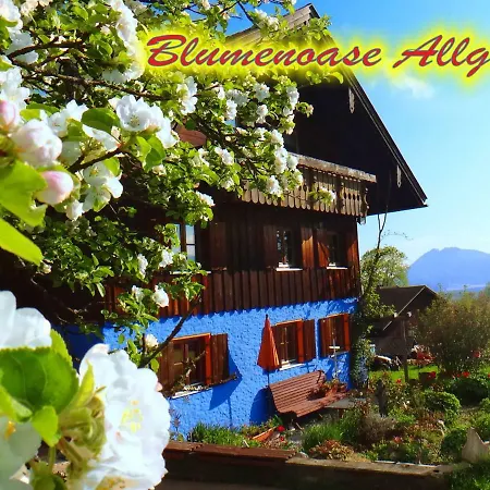 Blumenoase Allgäu