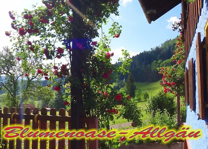 Blumenoase Allgaeu * Schwanden