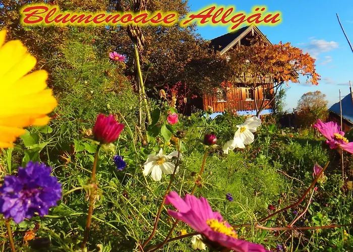 Blumenoase Allgaeu Daire Schwanden