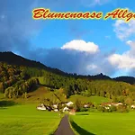Apartament Blumenoase Allgaeu Schwanden